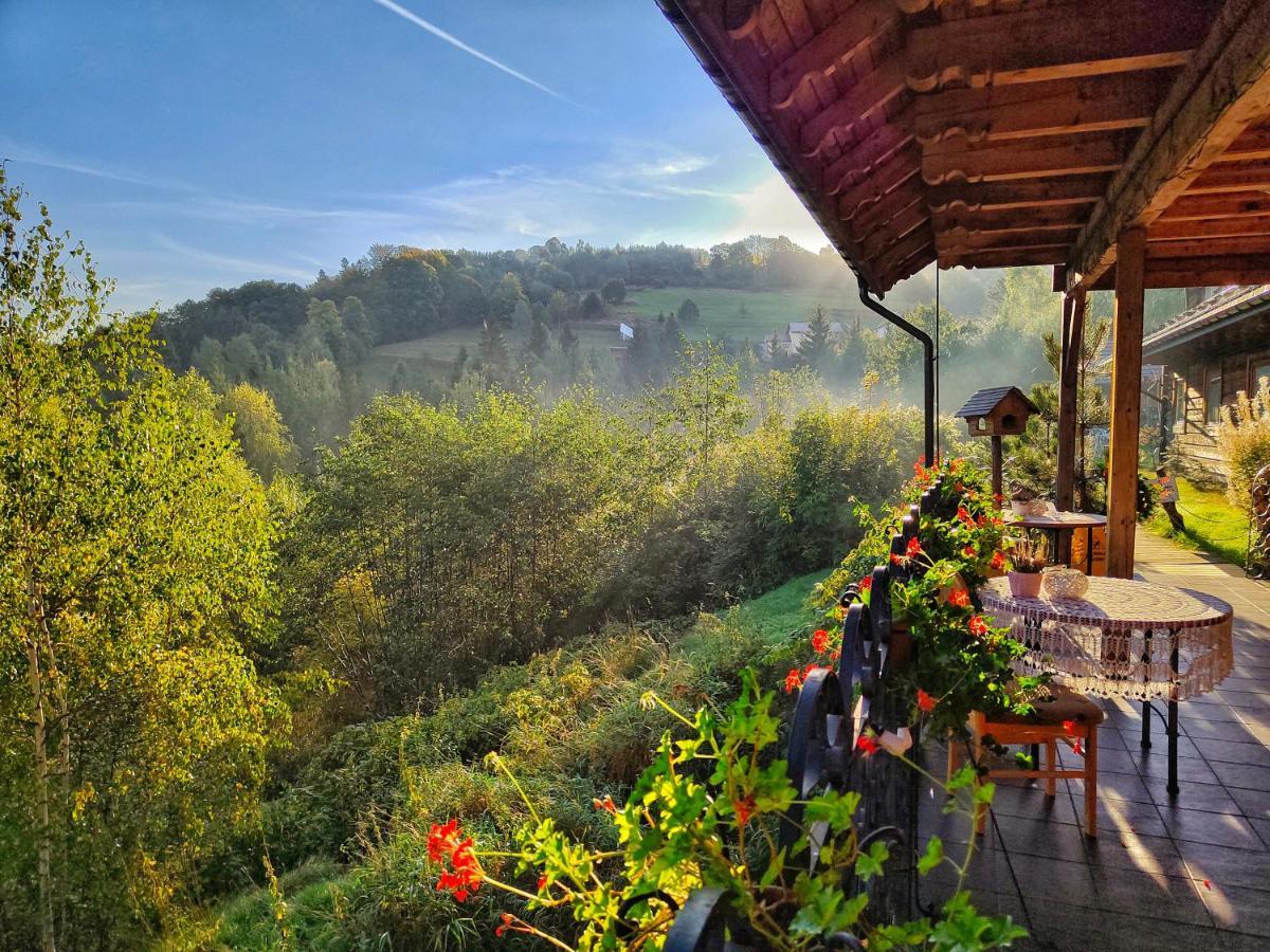 Czarna Owca Bed and Breakfast Istebna Εξωτερικό φωτογραφία