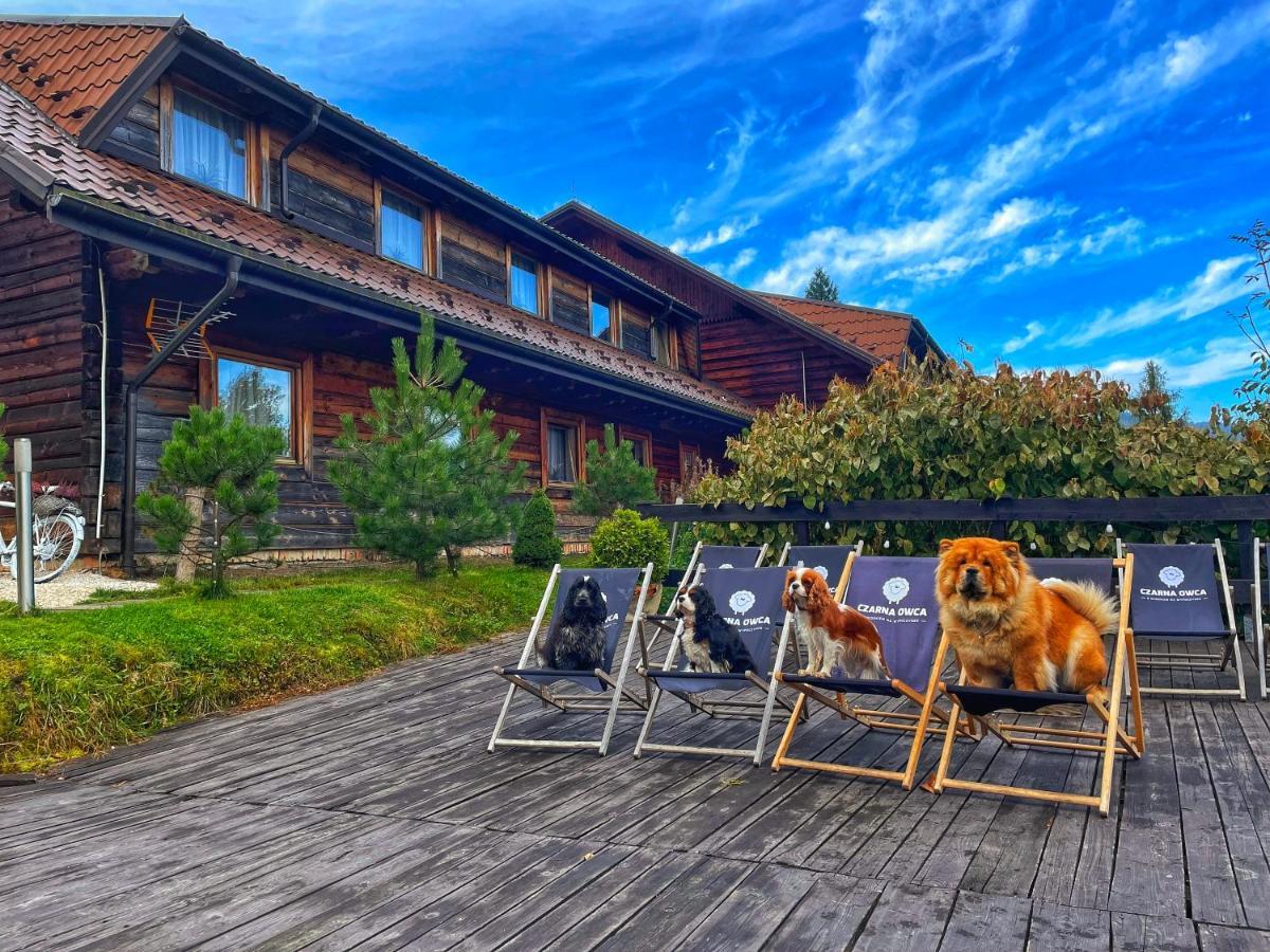 Czarna Owca Bed and Breakfast Istebna Εξωτερικό φωτογραφία