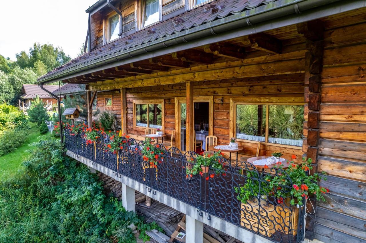 Czarna Owca Bed and Breakfast Istebna Εξωτερικό φωτογραφία