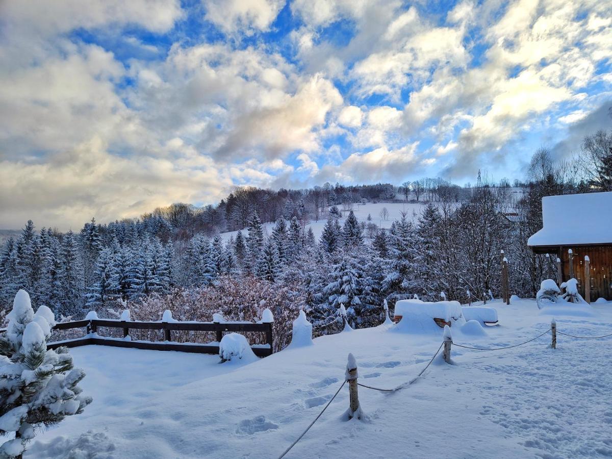Czarna Owca Bed and Breakfast Istebna Εξωτερικό φωτογραφία
