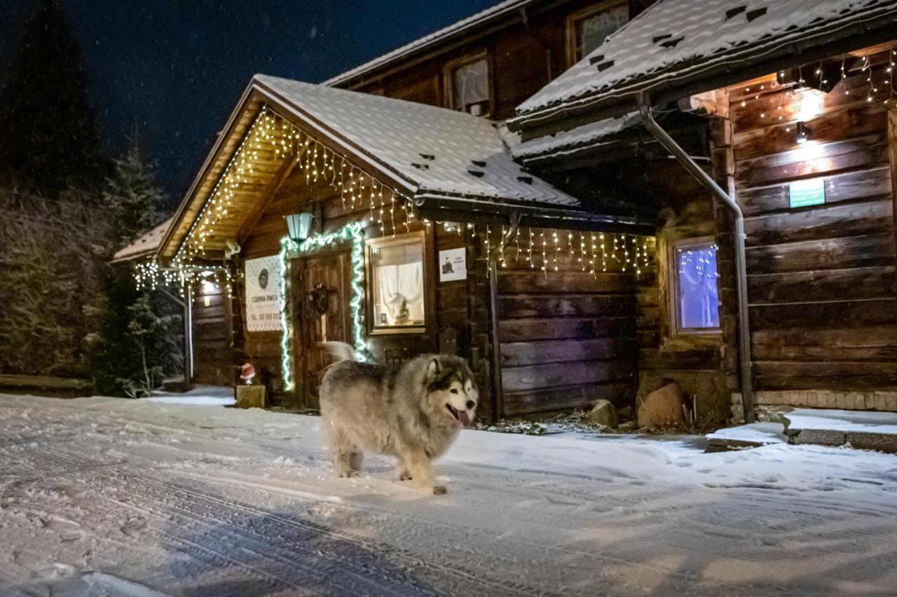 Czarna Owca Bed and Breakfast Istebna Εξωτερικό φωτογραφία