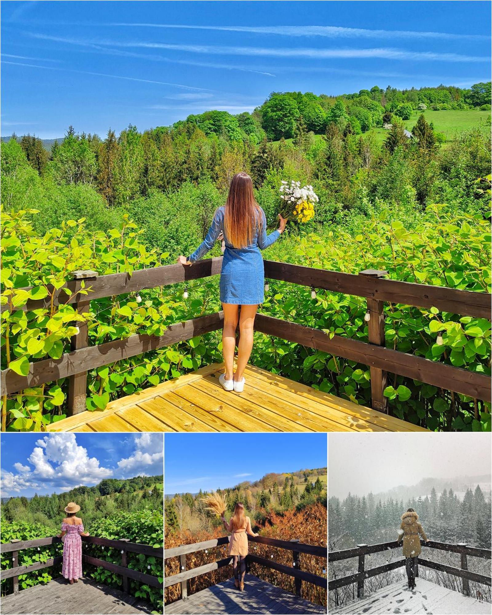 Czarna Owca Bed and Breakfast Istebna Εξωτερικό φωτογραφία