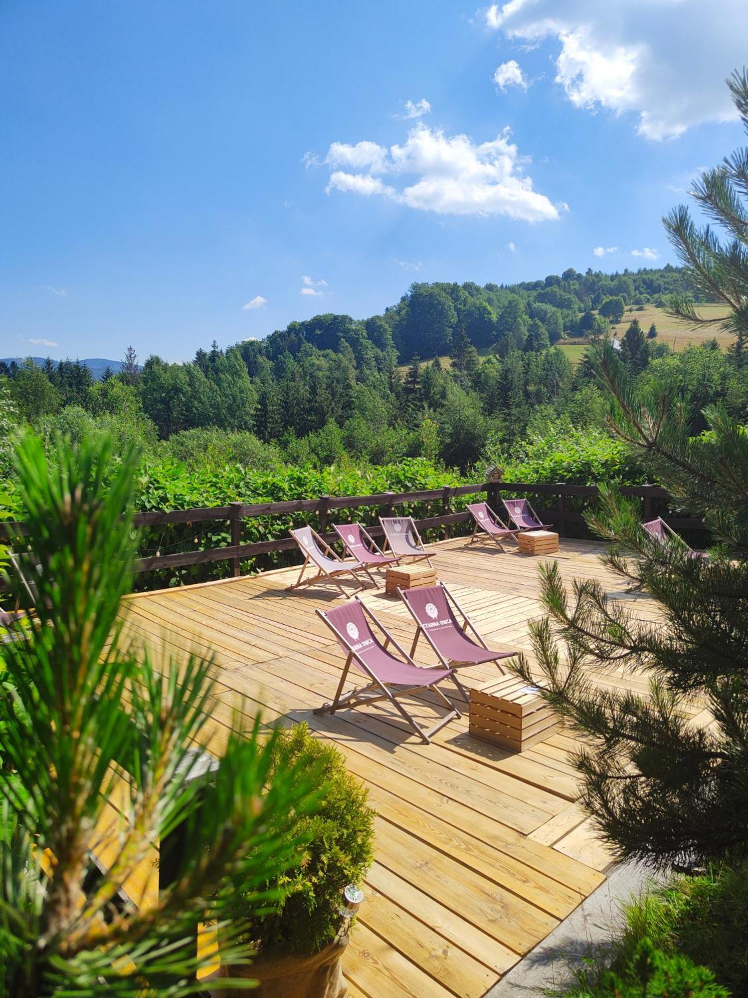 Czarna Owca Bed and Breakfast Istebna Εξωτερικό φωτογραφία